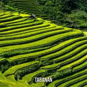 Location Tabanan  ()